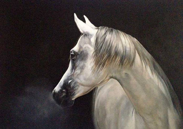 'Stag and Stallion' by Tony O’Connor 2014
